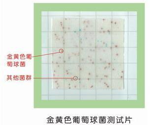 金黄色葡萄球菌测试片