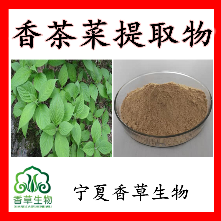 香茶菜提取物