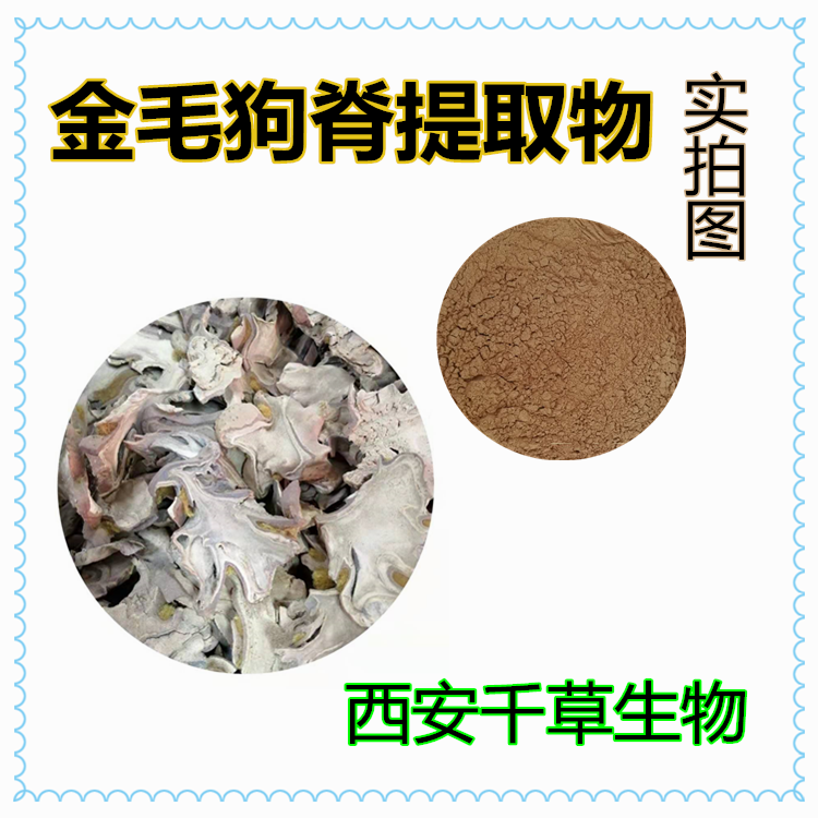 金毛狗脊提取物