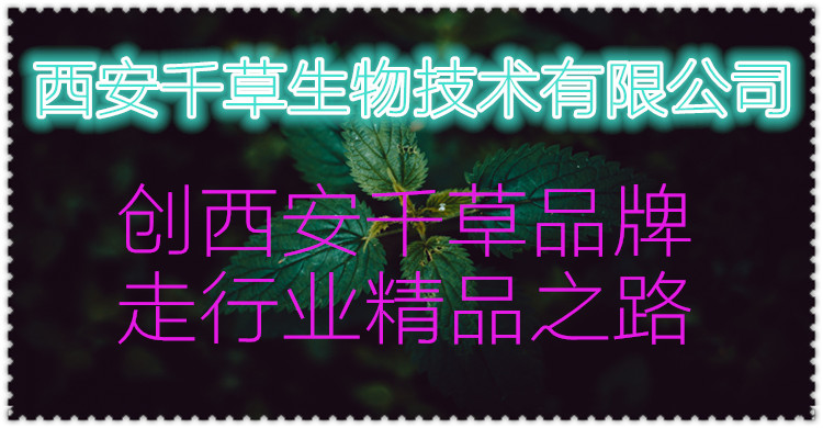 副本_副本0_副本