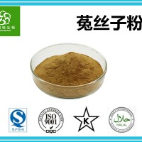 菟丝子粉 速溶菟丝子粉 菟丝子速溶粉 斯诺特集团工厂供应