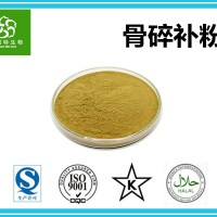 水溶骨碎补粉 骨碎补提取粉 斯诺特集团工厂 现货批发