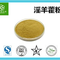 淫羊藿粉 速溶淫羊藿粉 淫羊藿提取物10:1 斯诺特集团工厂