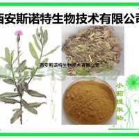 小蓟提取物 小蓟粉 斯诺特生物