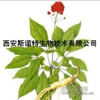 人参浸膏粉 斯诺特生物 包邮