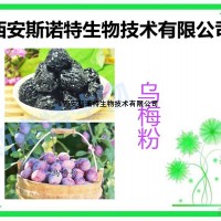 乌梅粉 乌梅果汁粉 斯诺特生物