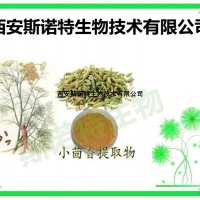 小茴香提取物 10:1 莳萝子提取物 包邮