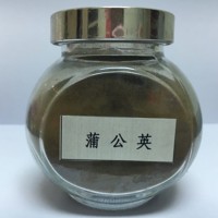 蒲公英提取物10:1 蒲公英粉 环环菜提取物