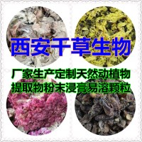 鬼针草提取物 厂家生产植物提取物定做鬼蒺藜浸膏