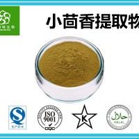 小茴香提取物 小茴香速溶粉 10:1规格 工厂直发 足斤足量