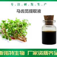 马齿苋提取液 马齿苋浸膏