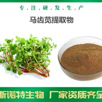 马齿苋提取物 厂家可定制 马齿苋提取液