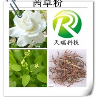 茜草提取物的价格