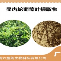 显齿蛇葡萄叶提取物 新资源食品原料 显齿蛇葡萄叶粉