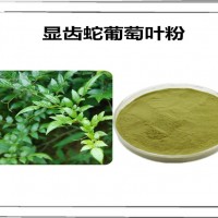 显齿蛇葡萄叶速溶粉 水溶性原料 显齿蛇葡萄叶粉 藤茶粉