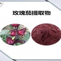 玫瑰茄提取物 玫瑰茄粉 可定制 多种规格