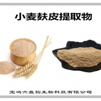 小麦麸皮提取物 小麦麸皮粉 多种规格 可定制生产