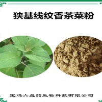 狭基线纹香茶菜浓缩粉 植物提取物 狭基线纹香茶菜粉