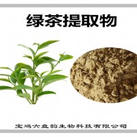 绿茶提取物 批发 绿茶粉 比例提取