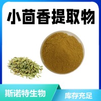 小茴香提取物 水溶性好 喷雾干燥 食品原料