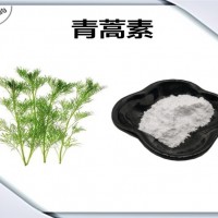 青蒿提取物  青蒿粉 植物提取物