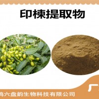 印楝提取物 印楝粉 植物提取 多种规格