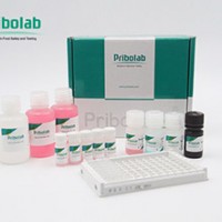 生物素/维生素 B 检测试剂盒