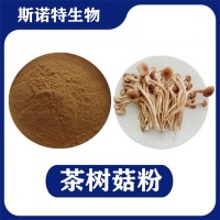 茶树菇提取物 水溶性茶树菇粉 植提厂家供应