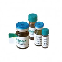 黄曲霉毒素B1/乙腈-100 μg/mL液体标准品