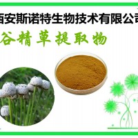 谷精草浓缩粉 谷精草粉 可试样 斯诺特生物