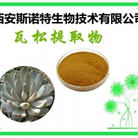 瓦松提取物 瓦花提取物 原料提取 包邮 宁夏基地