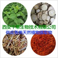 丁香根提取物粉丁香根浓缩粉丁香根浸膏粉供应水溶性提取物