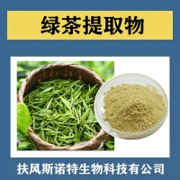 绿茶提取物 水溶性绿茶速溶粉 植提厂家供应