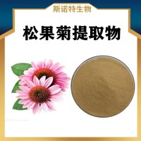 松果菊提取物 水溶性松果菊浓缩粉 斯诺特生物供应