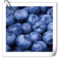 蓝莓提取物 全水溶喷雾干燥粉末 库存充足 可免费试样