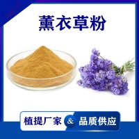 薰衣草提取物 水溶性薰衣草浓缩粉 斯诺特生物供应