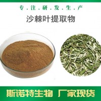 沙棘叶提取物 斯诺特生物 可定制沙棘叶醇提粉