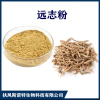 远志提取物 水溶性远志浓缩粉 斯诺特生物供应