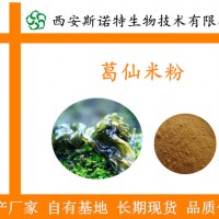 葛仙米粉 95% 葛仙米速溶粉 厂家现货