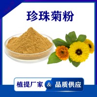 珍珠菊提取物 水溶性珍珠菊浓缩粉 斯诺特生物供应