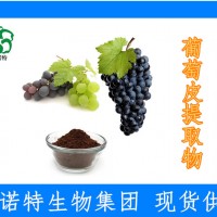 葡萄皮提取物 花青素 吃葡萄不吐葡萄皮 产品