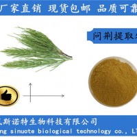 问荆提取物 萃取问荆粉 硅7%