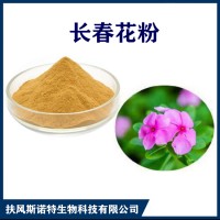 长春花提取物 水溶性长春花浓缩粉 斯诺特生物供应