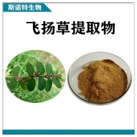 大飞扬草提取物 水溶性飞扬草浓缩粉 斯诺特生物供应