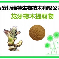 龙牙楤木提取物 刺嫩牙粉 原料萃取加工