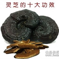 破壁灵芝孢子粉  原料