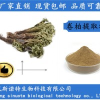 卷柏提取物 卷柏浓缩粉 免费包邮