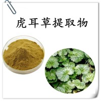 虎耳草提取物 水溶性好 源头工厂直发 可免费试样