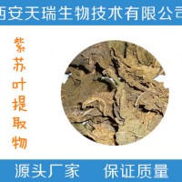 紫苏叶提取物-价格    紫苏叶粉-厂家    现货包邮