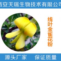 线叶金雀花粉  线叶金雀花提取物